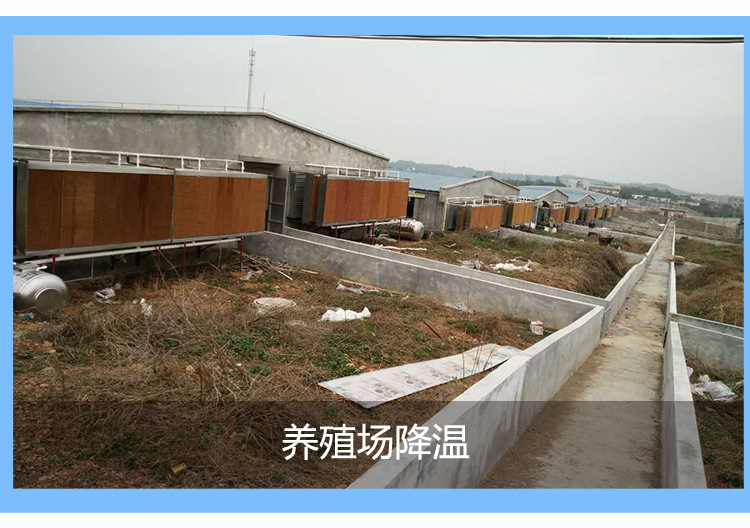 養豬場水簾選擇，需要多少安裝費？