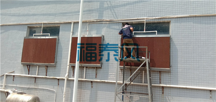麻豆免费在线观看视频/水簾紙